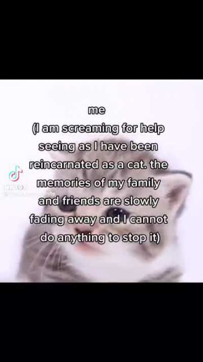 Help