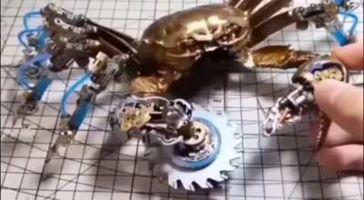 Crab