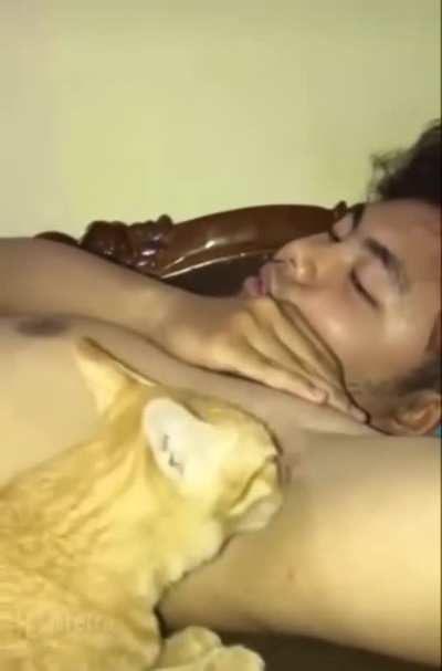 Cleaaaaaaaa-