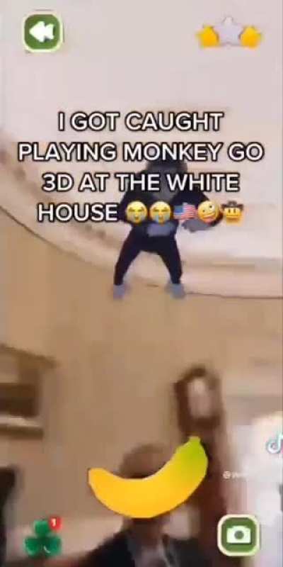 two monkeys one banana
