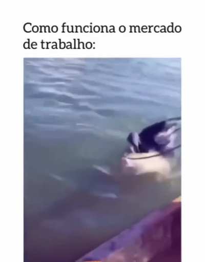 Realidade nua e crua