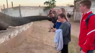 Fuck that girl