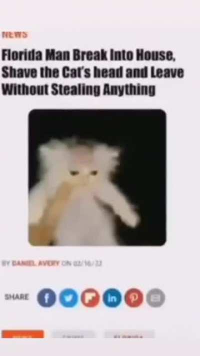 Florida man