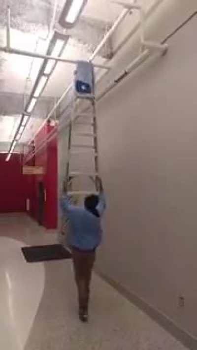 If only there was some sort of device that helped people reach high places!