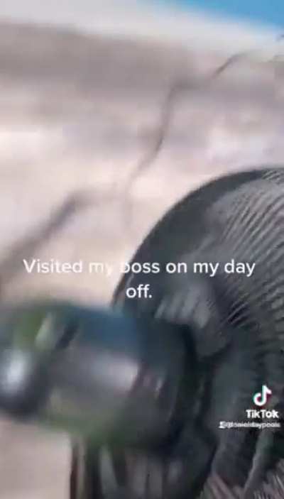 Day off