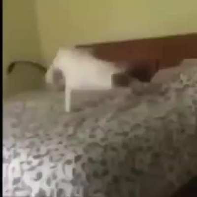 Well shit