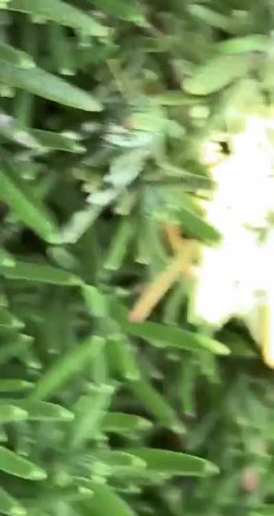 Don’t ask how that sound was made