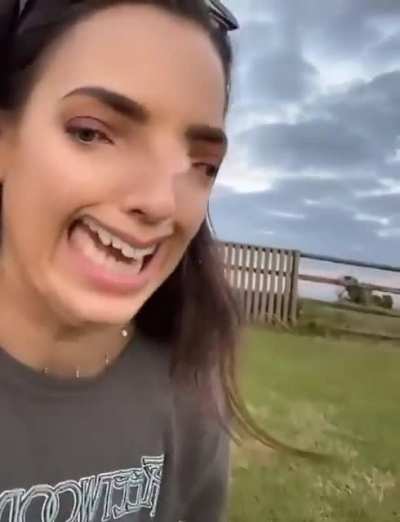 Look ma a dandelion