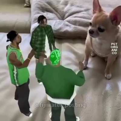 Perrinhos