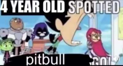 its pitbull time
