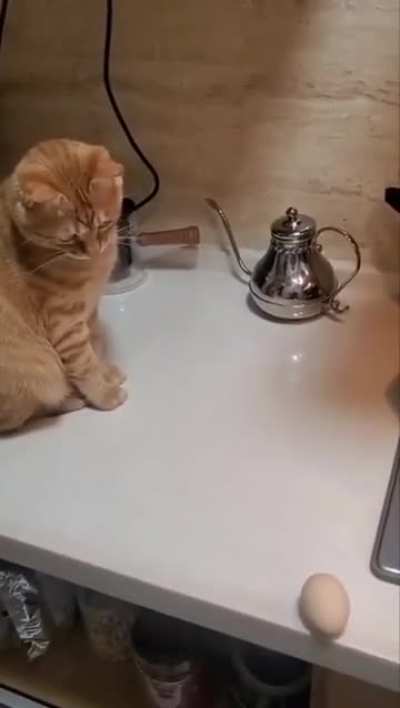 Suspense…