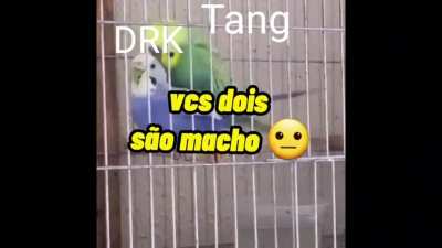 Brother 🤨