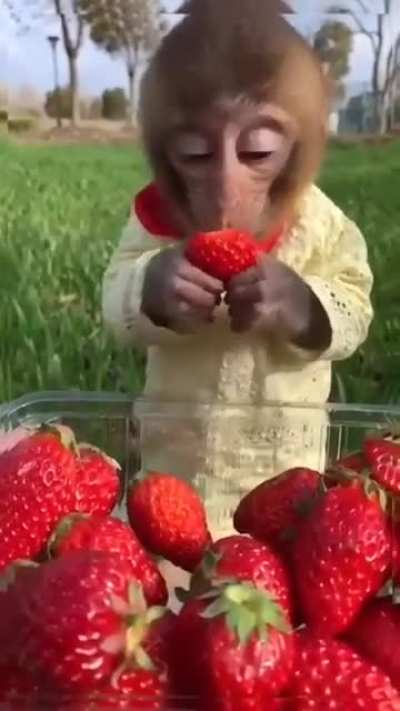 Чот клубники захотелось