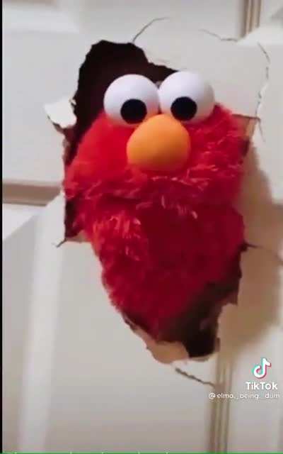 AAAAA BoNk hi