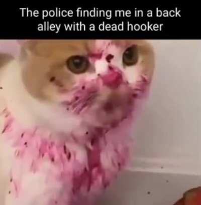 I'm just making sure her service is worth it