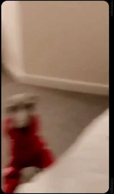 Супер скоро<wbr>сть