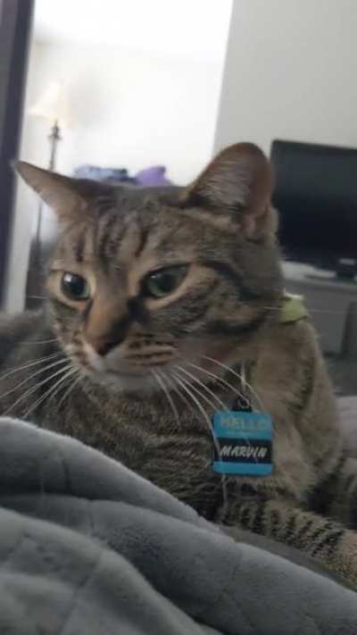 I'm sorry, but I needed to get up for work!