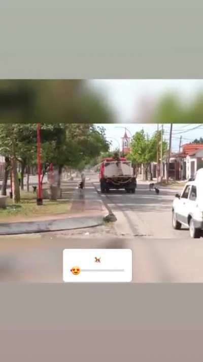Si tenés la posiblidad de dejarle un tarrito con agua a un perrito callejero, se un buen humano rediturro y hacelo.