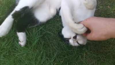 Found this lil guy in my garden. She enjoyed them so much she wanted more!