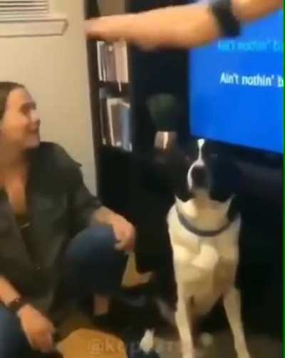 Dog: plz help