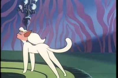 Furry_irl