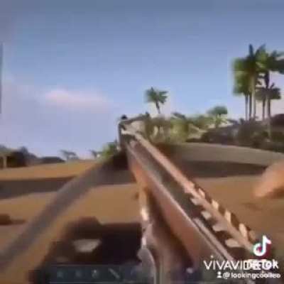 Im gonna shoot it......