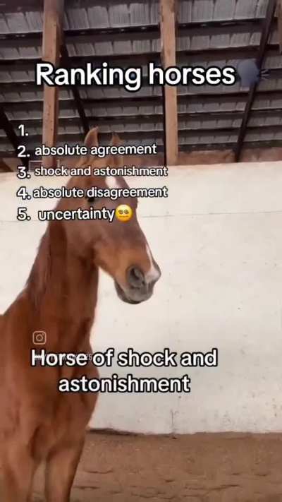 New horse imports from the Ottoman Empire