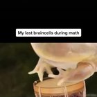 It is Wednesday my dudes