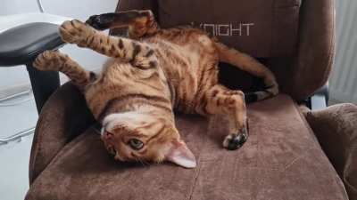 Приду<wbr>майте смешное назва<wbr>ние