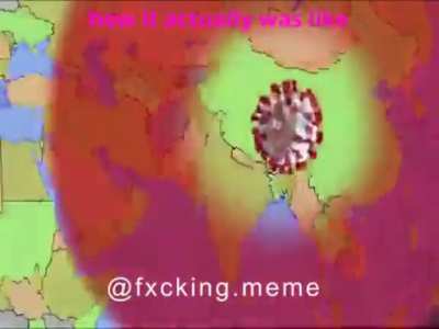 2020 in a nutshell
