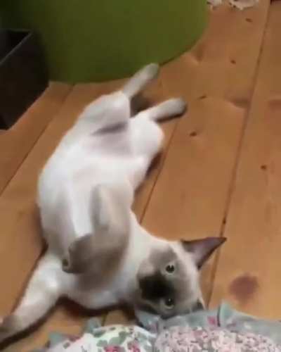 A derp and a jerk
