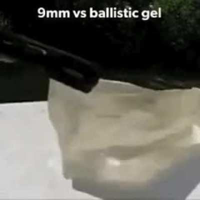 Gun