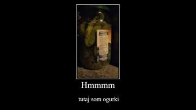 Gdzie są ogórki?