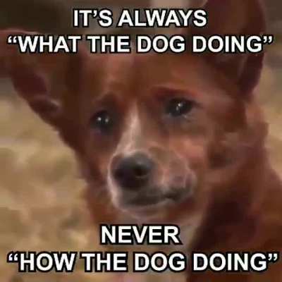 🤔🤔🤔‼