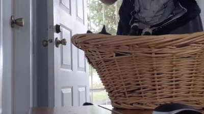 Laundry day