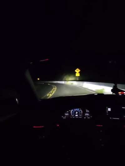 Do you prefer Daytime or night drives?