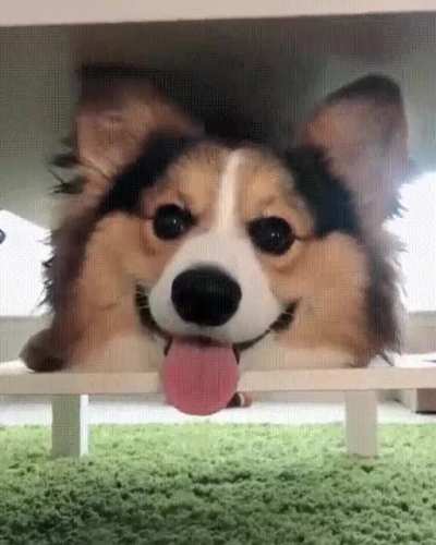 That contagious smile!