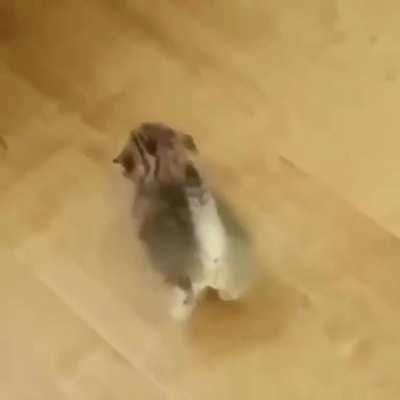 Hey I'm walkin' here