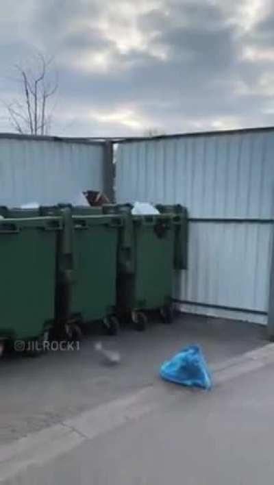 It's time to take the garbage out...