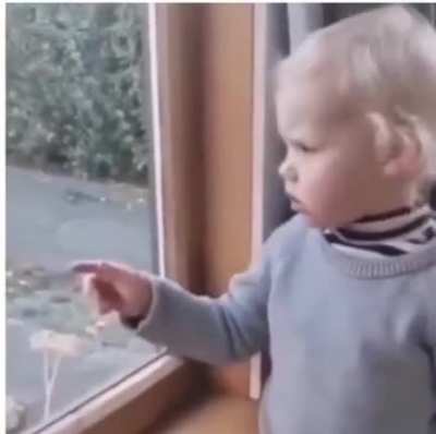 Wot is it, mate?