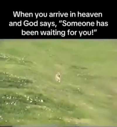 You may not believe in it, but its still a nice thought.