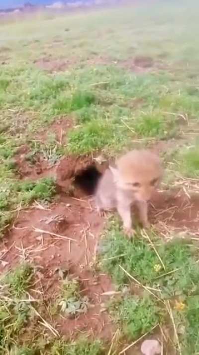 Вы кто такие?