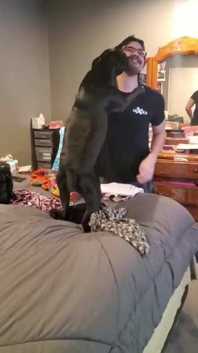 Surprising a sleeping pibble