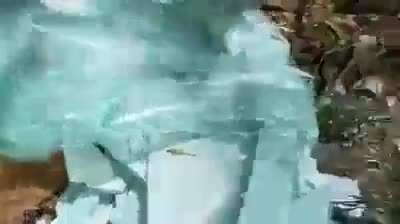 Хорошо в деревне летом - трупы кошек и собак...
