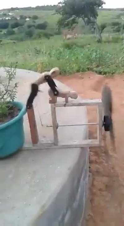Environmentally friendly windfuck automatic machine