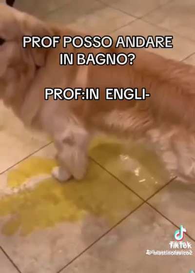 In english pls