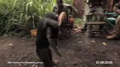 Monke ak