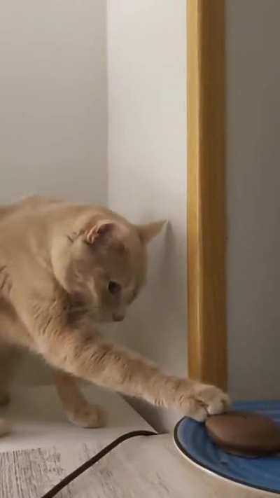 Touch tha cookie