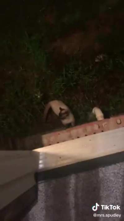 instant karma?