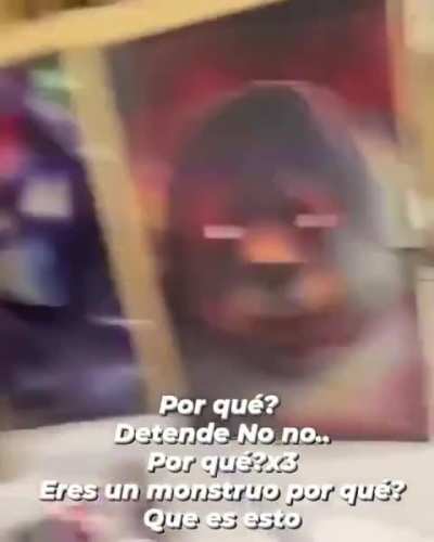Recuerdos de Vietnam